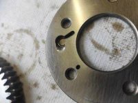 IMG_6363.jpeg