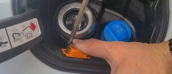 IMG_8336.jpeg IMG_8336.jpeg