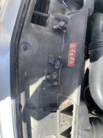 IMG_4091.jpeg