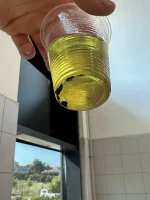 IMG-20250627-WA0024.webp