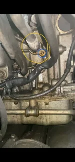 WhatsApp Image 2025-11-10 at 11.44.05.webp