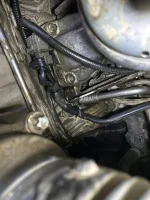 WhatsApp Image 2025-11-10 at 11.38.57.webp