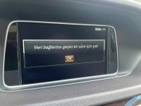 IMG_6722.jpeg