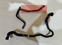 IMG_4796.jpeg
